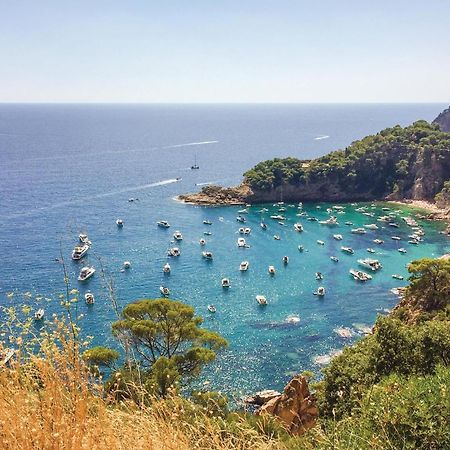 Stunning Apartment In Tossa De Mar With Kitchen Eksteriør billede